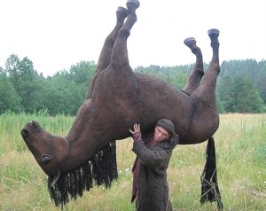 Создать мем: лошадь лошадь, человек поднимает лошадь, цыган конокрад