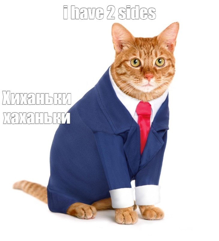 Create meme: cat with a tie, business cat, the cat in the jacket