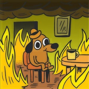 Create meme: cryptocurrency memes with the dog in a burning house, the dog it is fine, this is fine