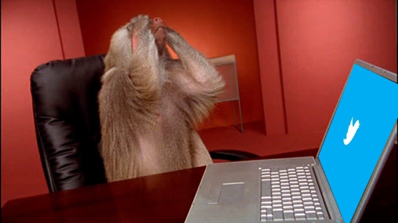 Create meme: the monkey behind the computer, monkey behind a computer, linus tech tips meme