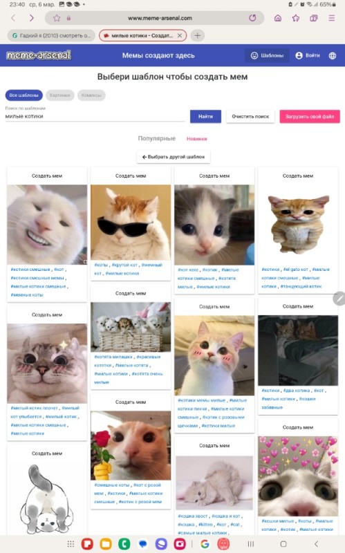 Создать мем: котики милые мемы, коты мемы, милые котики смешные