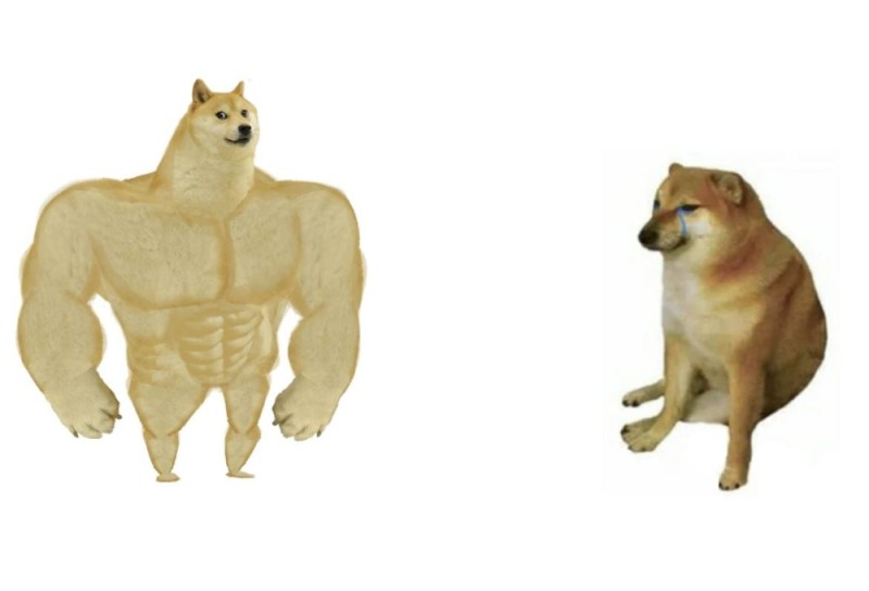 Create meme: inflated dog meme, shiba inu meme jock, the pumped-up dog from memes