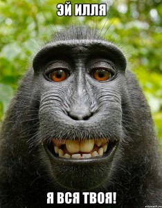 Create meme: macaques, happy monkey, monkey