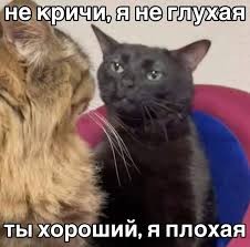 Create meme: memes with a black cat, cat , cat cat