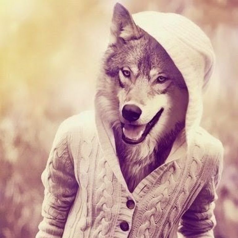 Create meme: wolves are cool, the man with the head of a wolf, wolf 