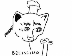Create meme: meme cat Belissimo, Of VA