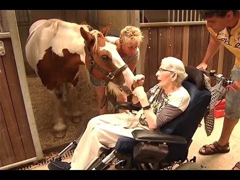 Create meme: old women, a paralyzed man, horse show