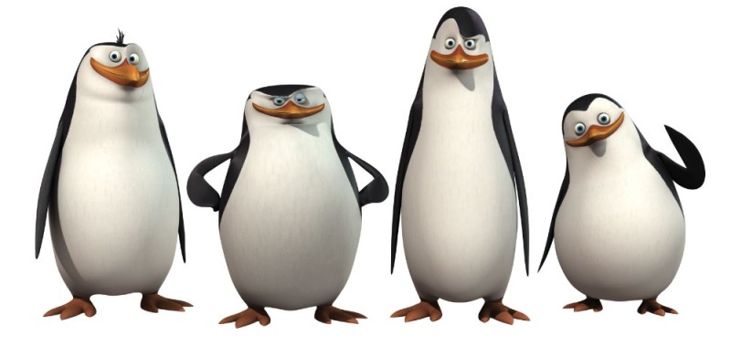 Создать мем: рядовой пингвины из мадагаскара, пингвины из мадагаскара шкипер, рико пингвины мадагаскара