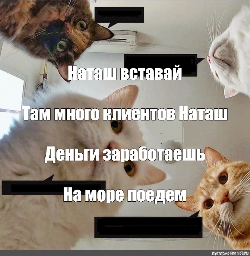 4 утра наташ вставай. Мем Наташа вставай. Популярные мемы с котами. Мем коты Наташа вставай. Мем с котами и Наташей.