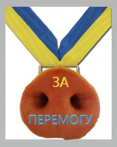 Create meme: medal, first place medal, medal for bravery fun