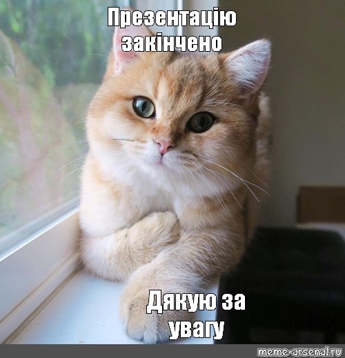 Create meme: cat with cheeks, tut the cat, kitty tut meme