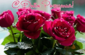 Create meme: flowers roses, beautiful flowers, beautiful roses