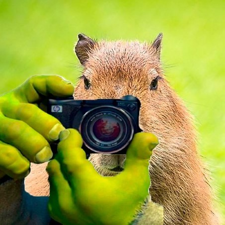 Создать мем: открытка фотографу, человек, дикие животные