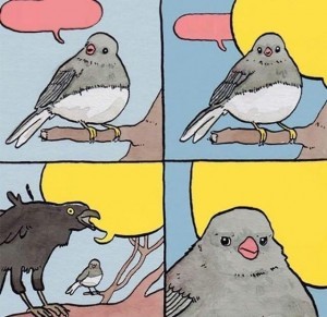 Create meme: meme bird, the Sparrow and the crow meme