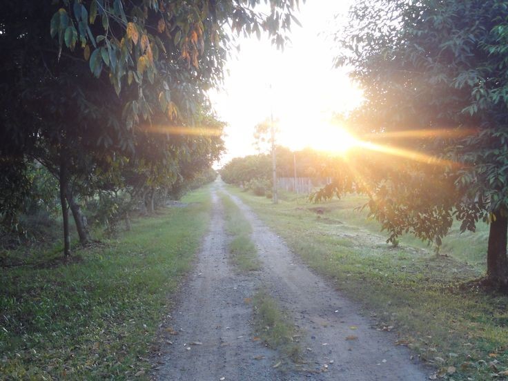 Create meme: The sun goes down, morning in the village, road 