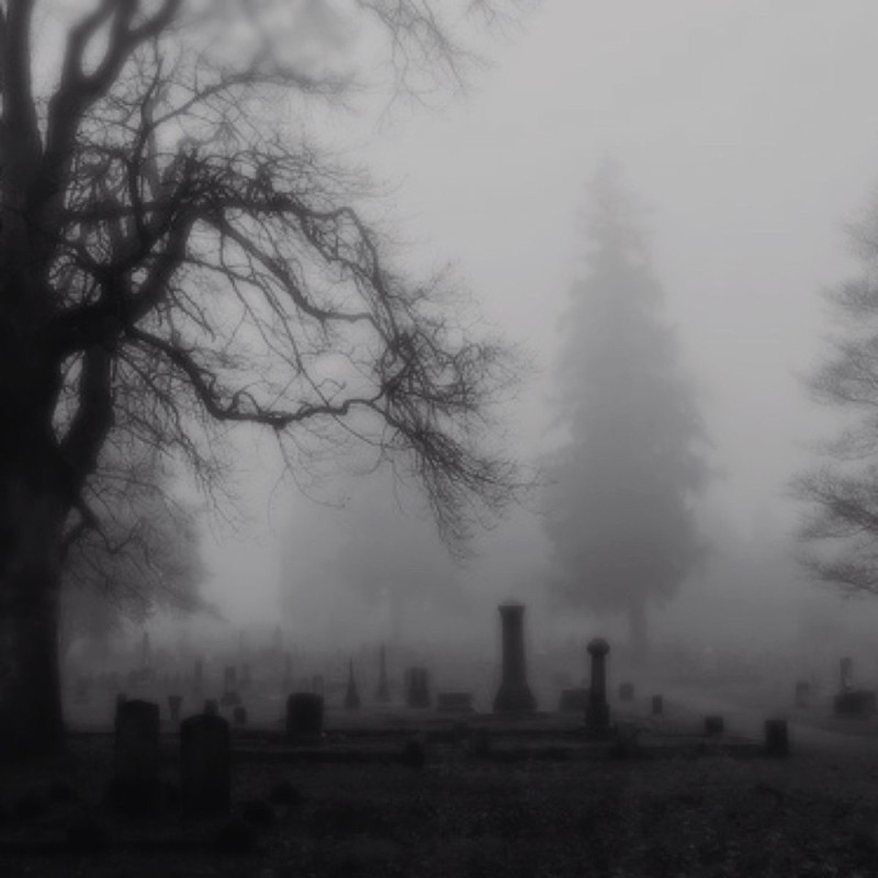 Создать мем: фотографии кладбища, лес туман кладбище, кладбище эстетика