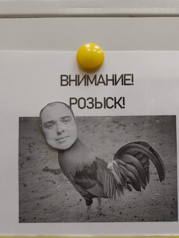 Create meme: rooster , the bird's beak , The quotation plan of the golden rooster