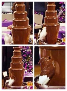 Create meme: chocolate fountain, chocolate parrot, parrot in the chocolate fountain meme