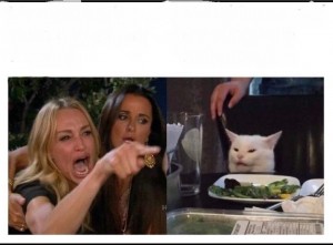 Create meme: woman yelling at cat meme, memes with cats, a woman yells at a cat meme