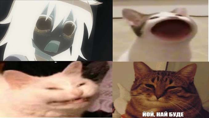 Создать мем: котик, кот улыбается мем, мемы