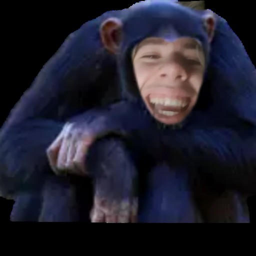 Create meme: chimp smiles, monkey , chimpanzees 