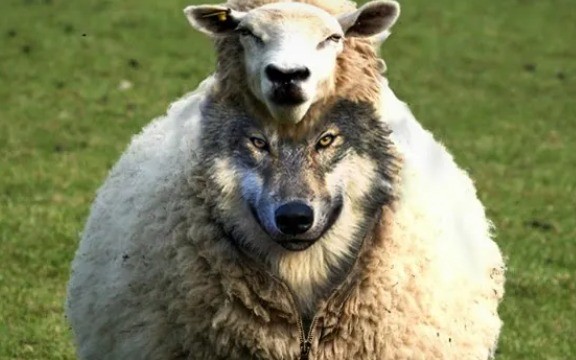 Создать мем: сша волк в овечьей шкуре, a wolf in sheep s clothing, волк в овечьей шкуре запад и россия