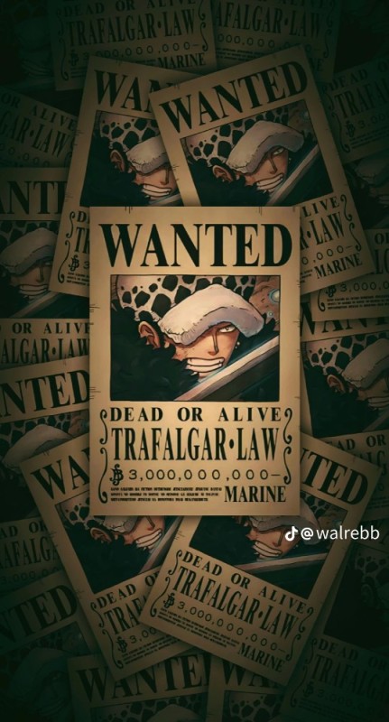 Create meme: wanted one piece, wanted poster , vintage posters