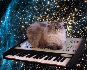 Создать мем: Techno cat