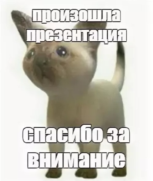 Создать мем: спасибо за внимание, смешной конец для презентации, презентация спасибо за внимание