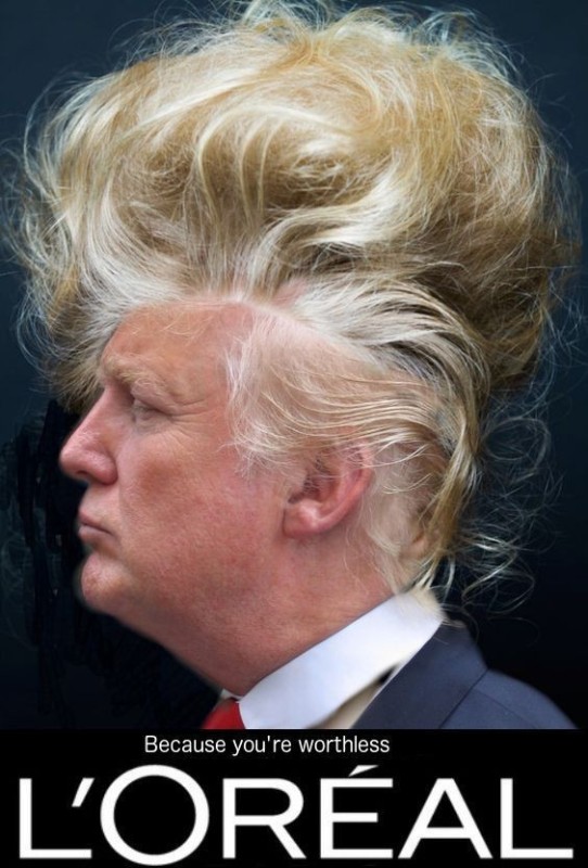 Создать мем: волосы трампа, прическа трампа, дональд трамп волосы