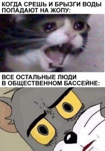 Создать мем: грустный кот мемы, memes funny, crying cat meme