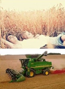 Create meme: jokes about combine harvesters, girl, photos