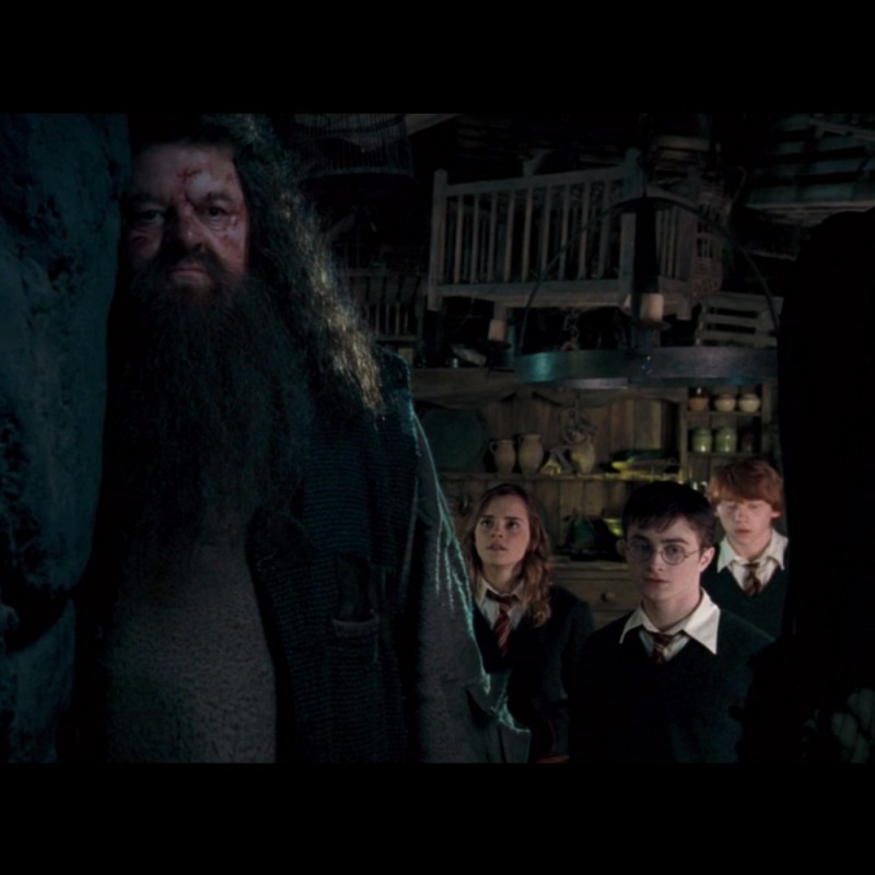 Create meme: Harry Potter , rubeus hagrid, Harry potter albus dumbledore