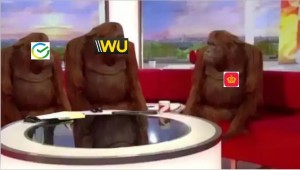 Создать мем: обезьянка мем, мемы с обезьянами, мем обезьяна