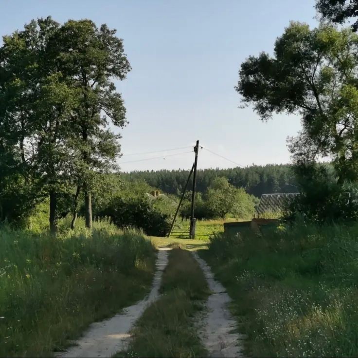 Create meme: summer landscape, in the village, the nature of the Bryansk region