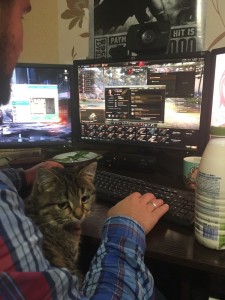 Create meme: cat, funny gaming pictures, cat
