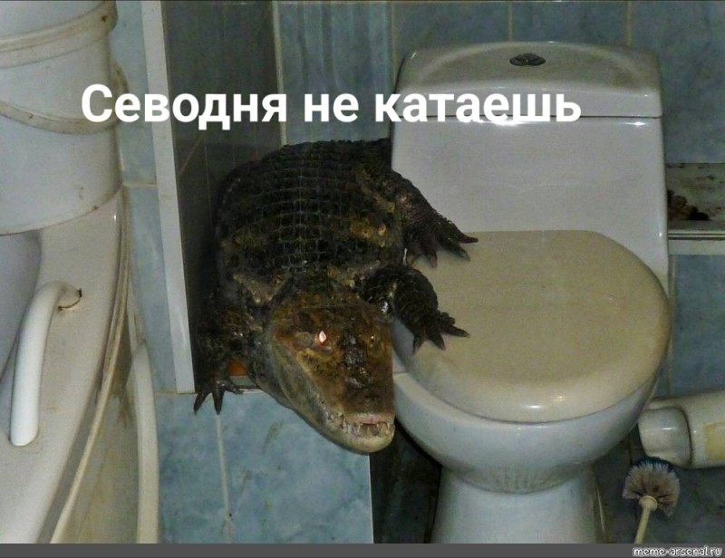 Создать мем: крокодил в ванной мем, ааааа крокодил в ванной, гена на крокодил в ванной