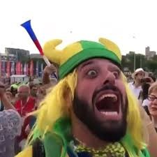 Create meme: ahuena bro world Cup, fan bro, fans of Brazil