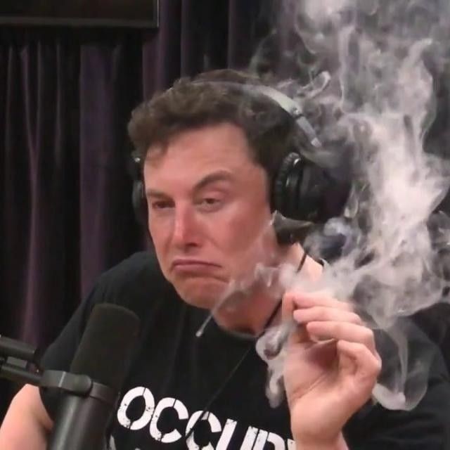 Create meme: elon musk meme, Elon musk smokes pot, memes about Elon musk