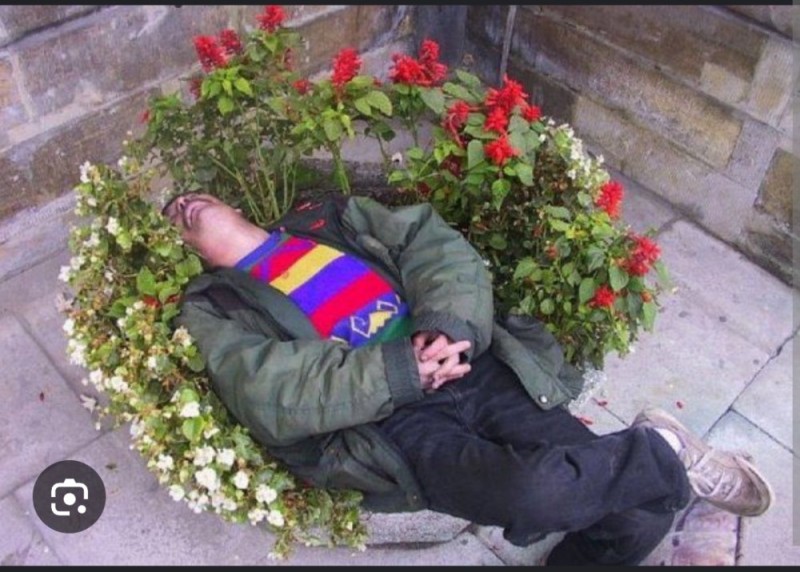 Create meme: Drunk in a flower bed in flowers, a homeless man with a flower, a homeless man in flowers