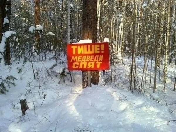 Create meme: A sign in the forest, The bears are sleeping quietly, humor jokes 