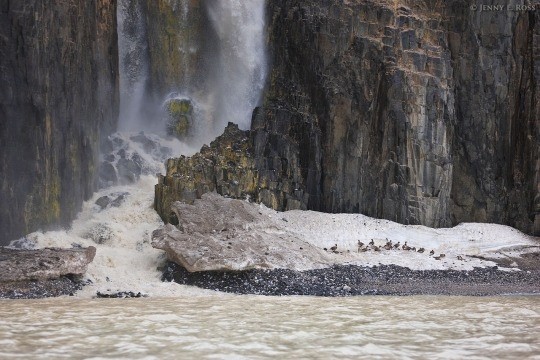 Create meme: dettifoss waterfall iceland, waterfall , nature 