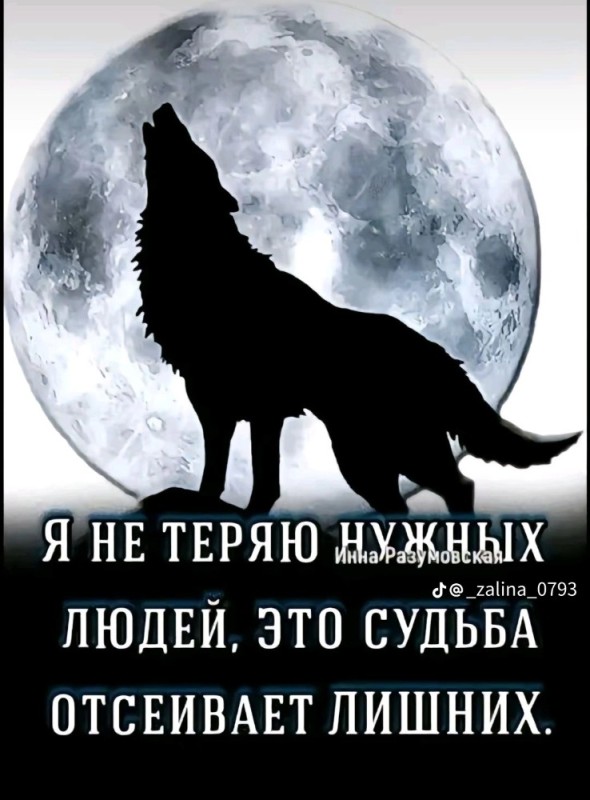 Создать мем: одиночка волк, волк на фоне луны, воющий волк