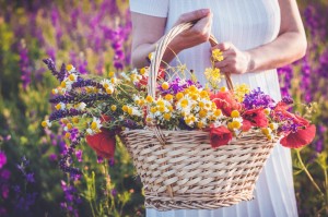Create meme: a bouquet of wild flowers, beautiful summer bouquet photo, a Bicycle and a bouquet of wild flowers