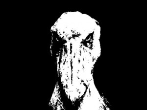 Создать мем: череп на черном фоне, темнота, black metal аватар