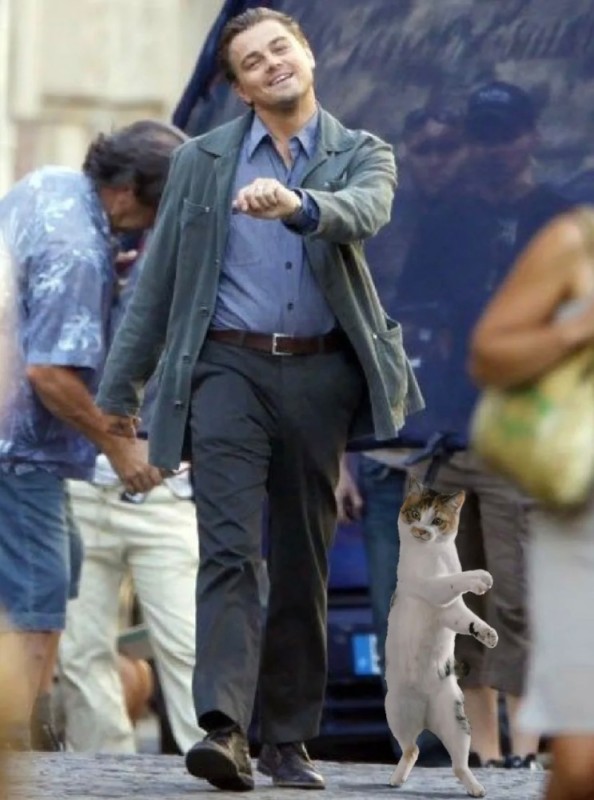 Create meme: DiCaprio walks, Leonardo DiCaprio is, Leonardo DiCaprio meme 