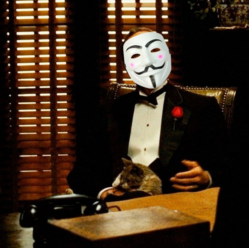 Create meme: don corleone with a cat, doing it without respect, but do it without respect