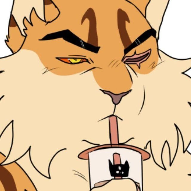 Create meme: cat , warrior cats, mdk the cat