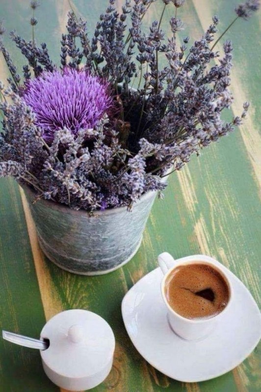 Create meme: lavender coffee, lavender tea, lavender flowers