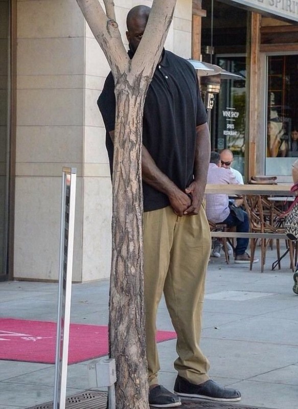 Create meme: shaq attack, A man looks out from behind a tree, feet 